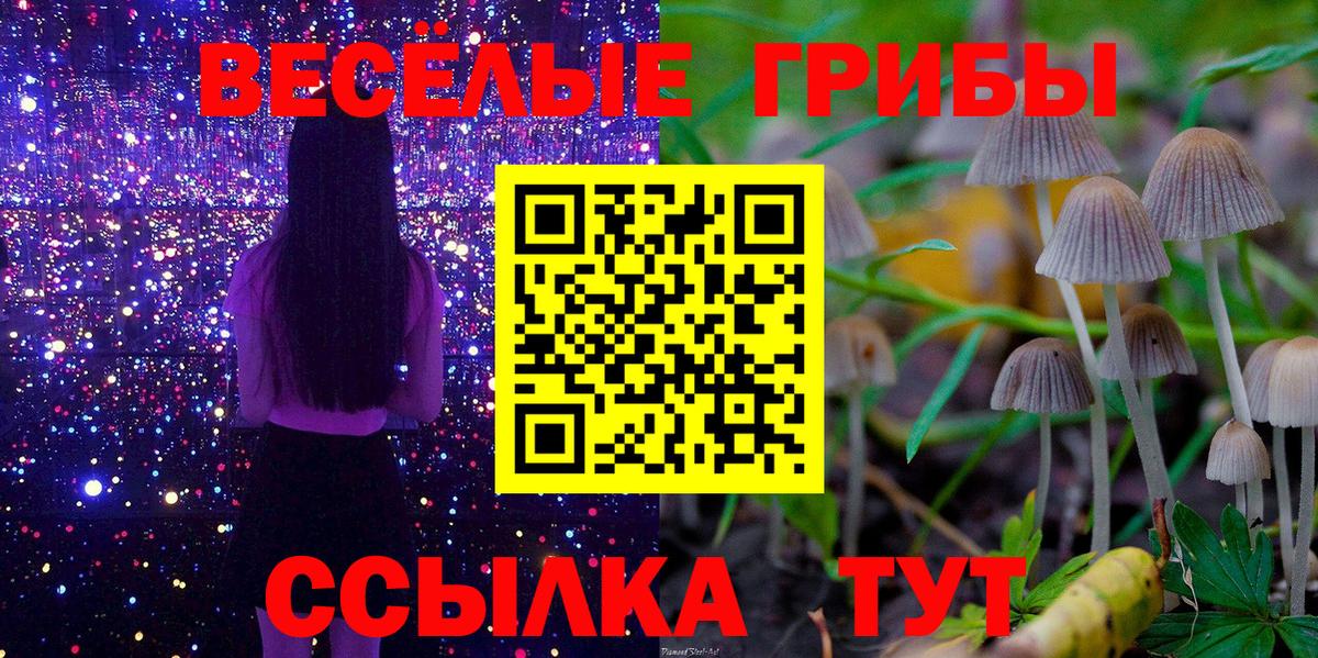 Псилоцибиновые грибы прущие грибы Усть-Кут