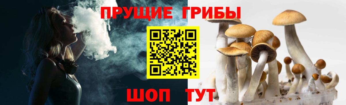 Галлюциногенные грибы Magic Shrooms  Вход с VPN  Псилоцибиновые грибы Cubensis  Усть-Кут 
